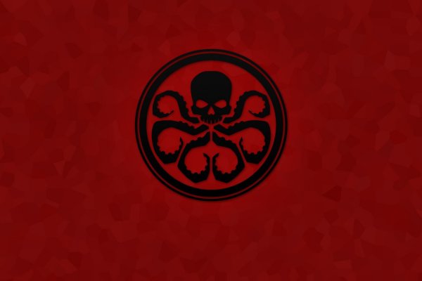 Kraken 19 at