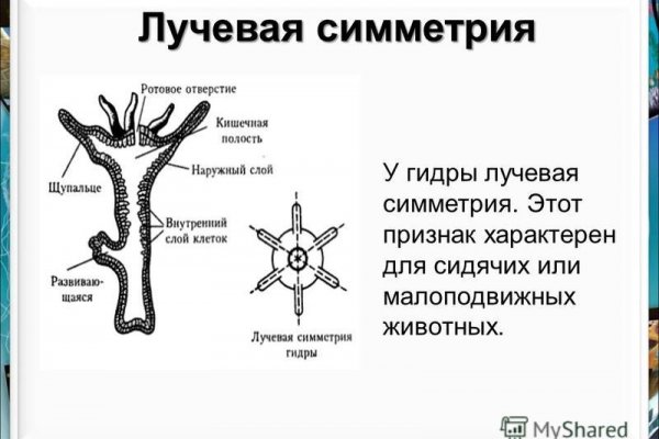 Как зарегистрироваться в кракен в россии