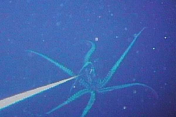 Кракен маркет kr2web in