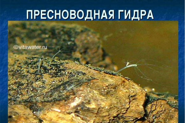 Магазин веществ кракен